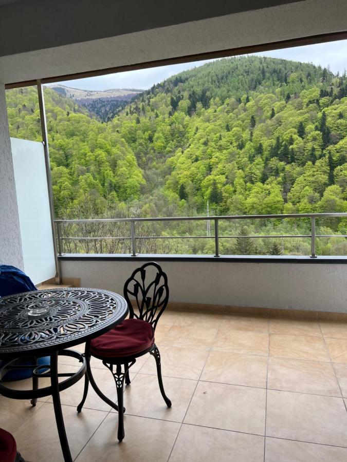 Apartament Serenum Sinaia