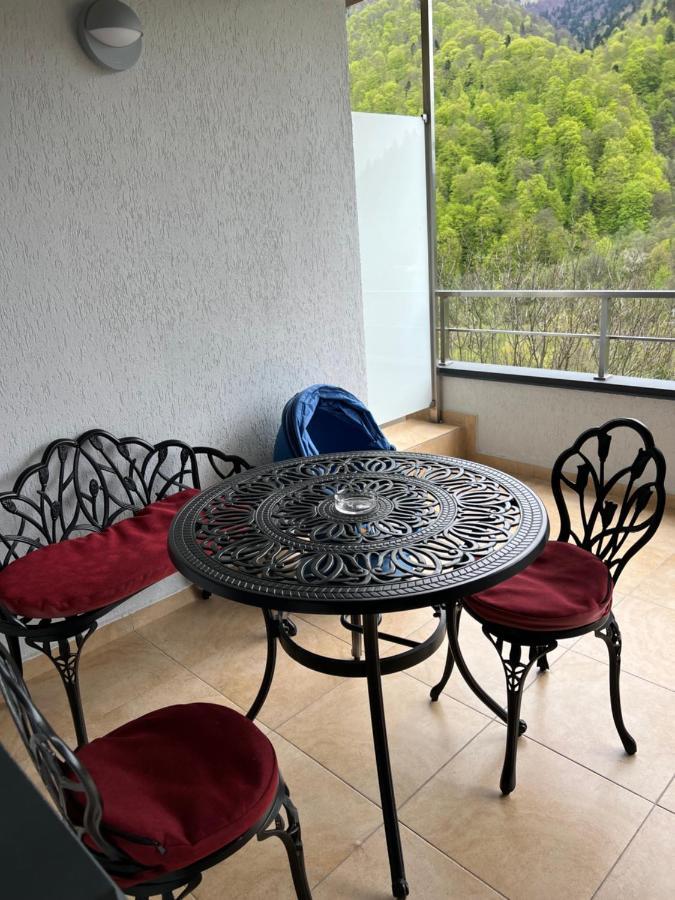Apartament Serenum Sinaia
